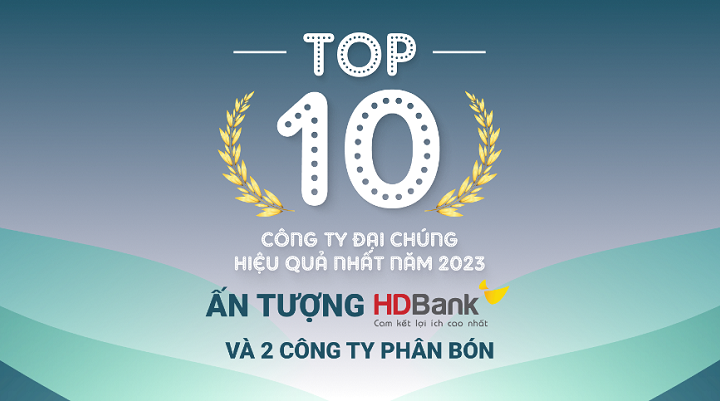 TOP 10 công ty đại chúng hiệu quả nhất năm 2023: Ấn tượng HDBank, Đạm Phú Mỹ và Hóa dầu Đức Giang