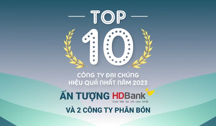 TOP 10 công ty đại chúng hiệu quả nhất năm 2023: Ấn tượng HDBank, Đạm Phú Mỹ và Hóa dầu Đức Giang