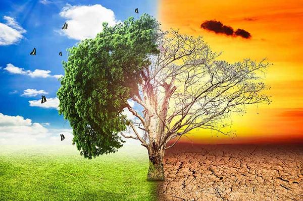 Biến đổi khí hậu và vấn đề bảo đảm quyền có lương thực tại Việt Nam: thực trạng và kiến nghị