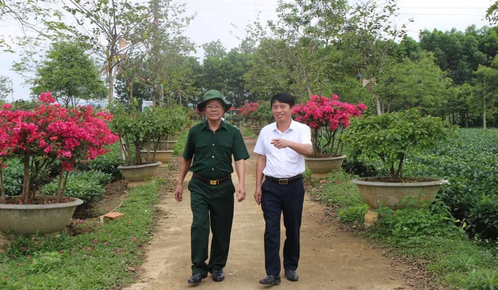 Màu hoa đỏ giữa núi rừng Hương Khê