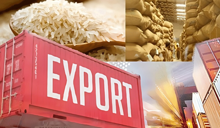 Tăng cường thực hiện các nhiệm vụ, giải pháp thúc đẩy sản xuất, xuất khẩu gạo