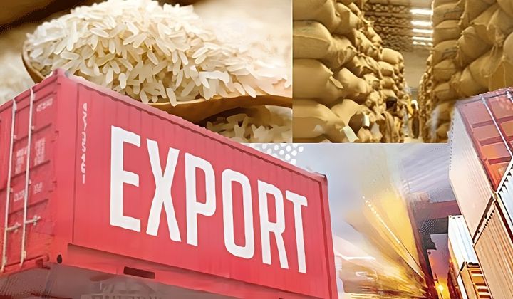 Tăng cường thực hiện các nhiệm vụ, giải pháp thúc đẩy sản xuất, xuất khẩu gạo