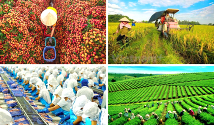 Giải pháp phát triển ngành nông nghiệp đến năm 2030 theo Nghị quyết Trung ương Đảng khóa XIII