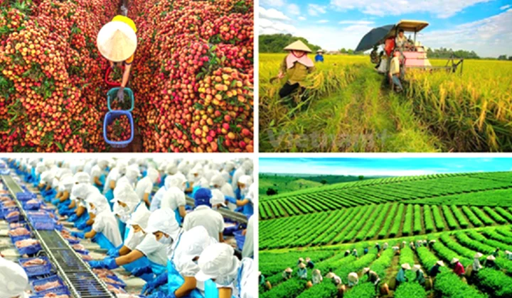 Giải pháp phát triển ngành nông nghiệp đến năm 2030 theo Nghị quyết Trung ương Đảng khóa XIII