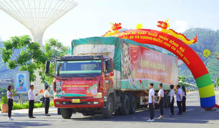 Nhãn Sông Mã xuất khẩu Trung Quốc, EU và Vương quốc Anh