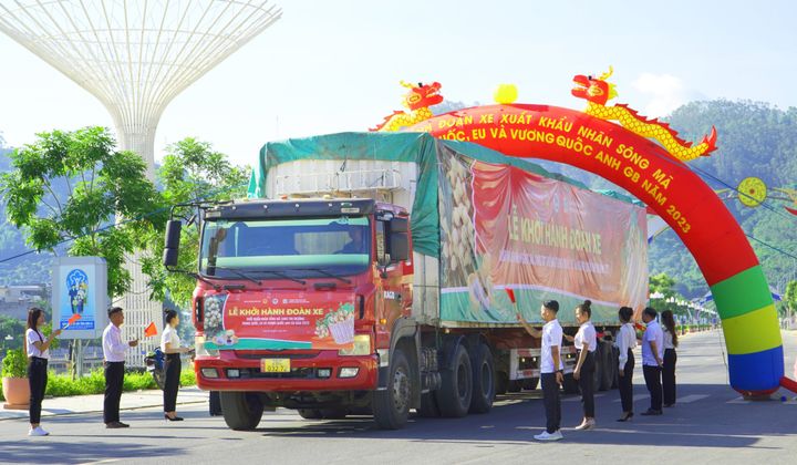 Nhãn Sông Mã xuất khẩu Trung Quốc, EU và Vương quốc Anh