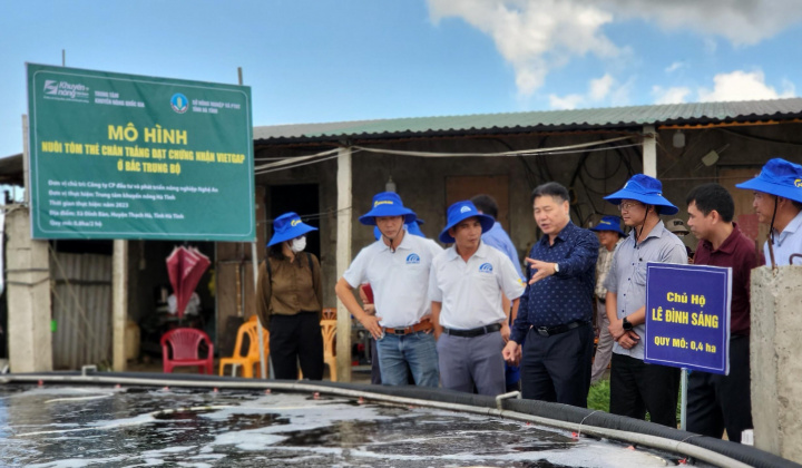 Hà Tĩnh: Giải pháp phát triển nuôi tôm trên cát