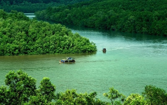 Cần Giờ hướng đến đô thị xanh