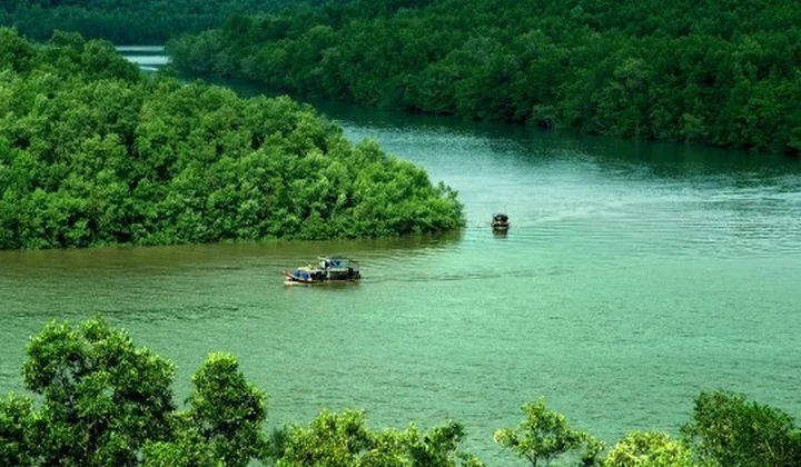 Cần Giờ hướng đến đô thị xanh