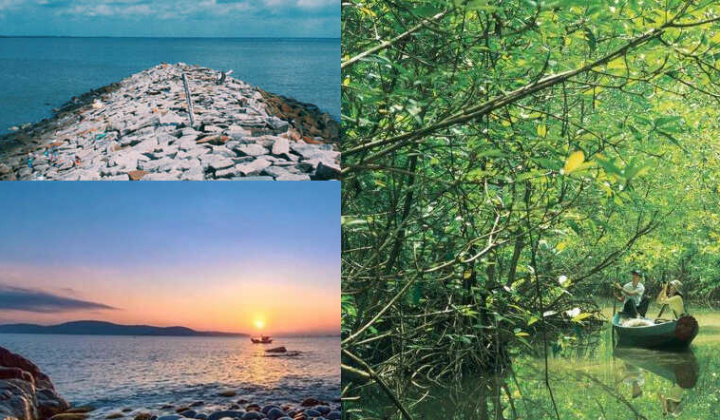 TP.HCM: Thành lập Ban Chỉ đạo phát triển ngành du lịch huyện Cần Giờ