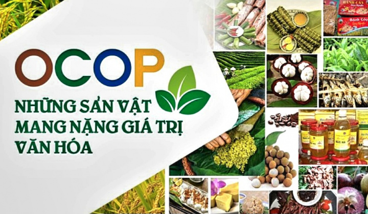 Hợp tác xã là chủ thể nền tảng quan trọng trong phát triển sản phẩm OCOP ở Việt Nam