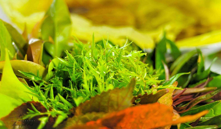 An Giang: Ẩm thực “rau rừng” Núi Cấm góp phần thêm thương hiệu du lịch Bảy Núi