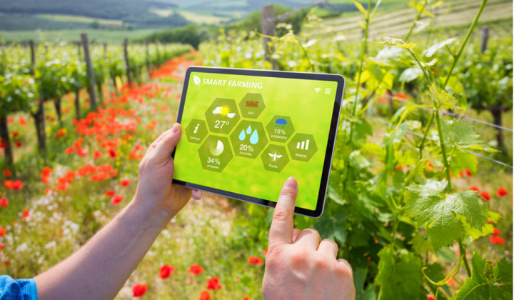 Thúc đẩy nông nghiệp phát triển bền vững nhờ số hóa