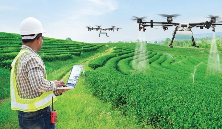 Cải tiến nông nghiệp thúc đẩy môi trường thực phẩm lành mạnh hơn