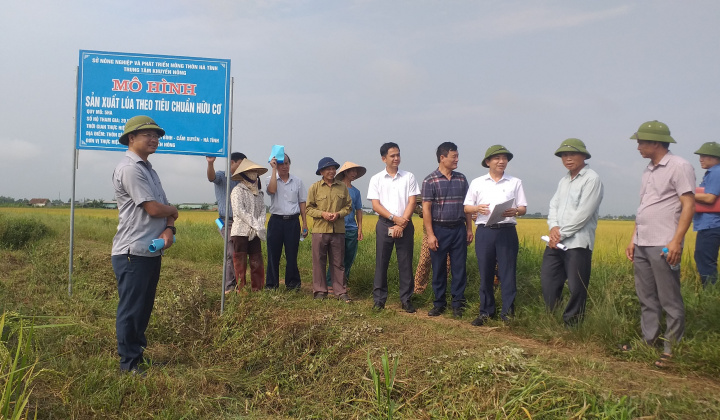 Hà Tĩnh: Hội thảo đầu bờ sản xuất lúa hữu cơ Sông Gianh trên đất Cẩm Xuyên