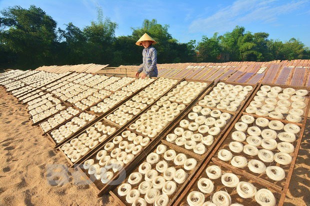 Chiến lược phát triển ngành nghề nông thôn đến năm 2030, tầm nhìn đến năm 2045
