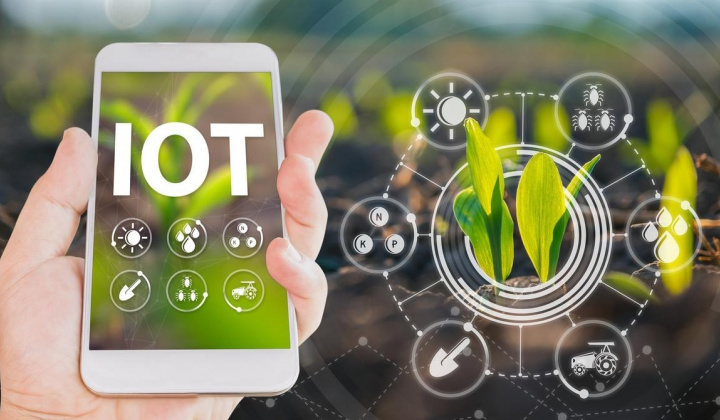 Đầu tư phát triển nông nghiệp công nghệ cao nhìn từ góc độ chính sách, pháp luật