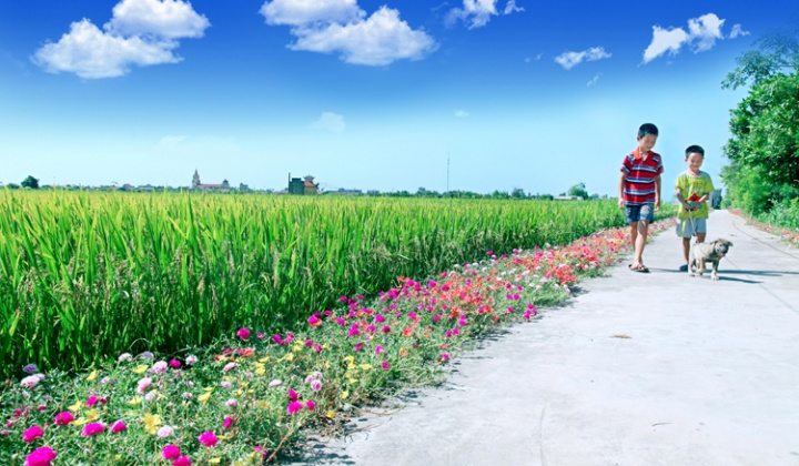 Quyết liệt triển khai thực hiện các chương trình mục tiêu quốc gia