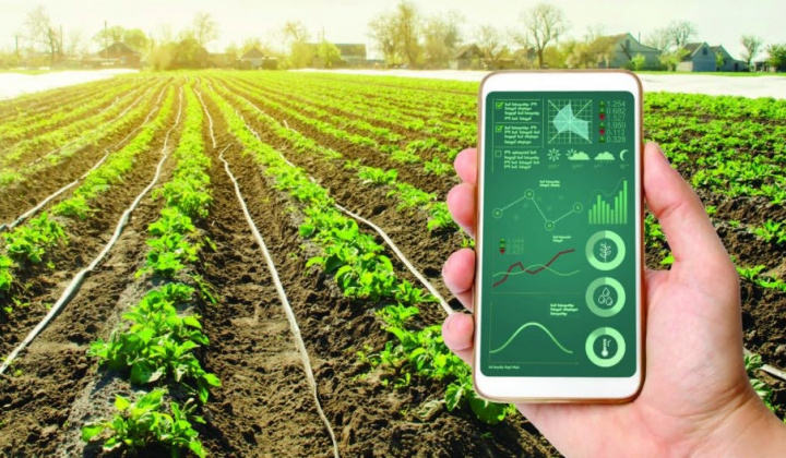 Developing ecological agriculture and value chains
