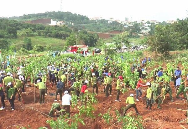 Chung tay lan toả “Ngày hội trồng cây vì Đắk Nông xanh”