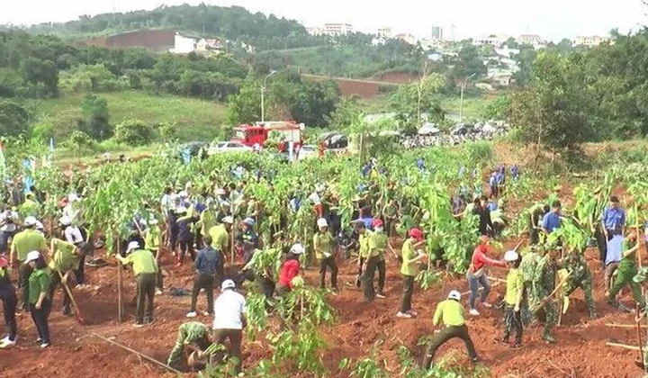 Chung tay lan toả “Ngày hội trồng cây vì Đắk Nông xanh”