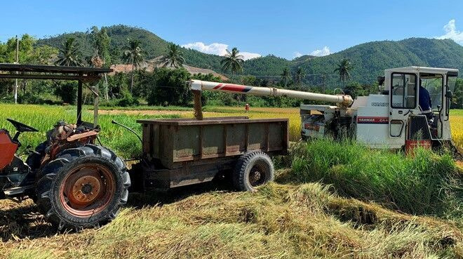 Đà Nẵng: 5.965 hộ nông dân đạt danh hiệu sản xuất kinh doanh giỏi các cấp
