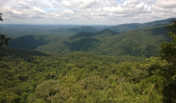 Khánh Hòa: Thẩm định chủ trương chuyển đổi mục đích sử dụng rừng