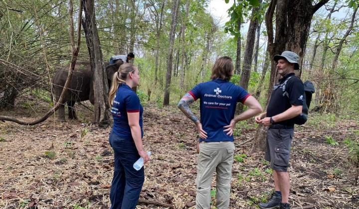 AAF thăm khám bệnh tổng quát cho 2 cá thể voi Hplu và Y khun tại Đắk Lắk