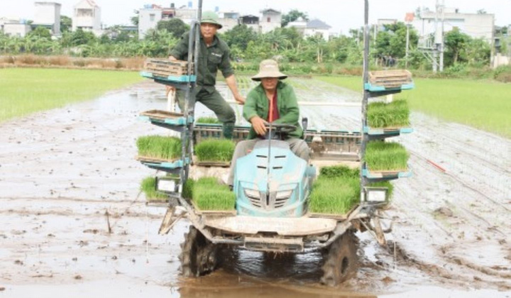 Thái Bình hướng tới trở thành trung tâm sản xuất nông nghiệp hàng đầu Vùng đồng bằng sông Hồng