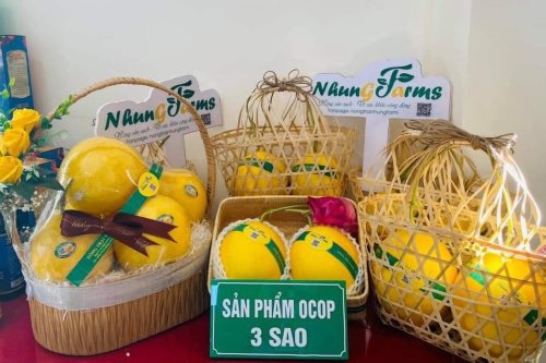 Thanh Hoá: Sản phẩm OCOP sẵn sàng phục vụ thị trường Tết Giáp Thìn 2024
