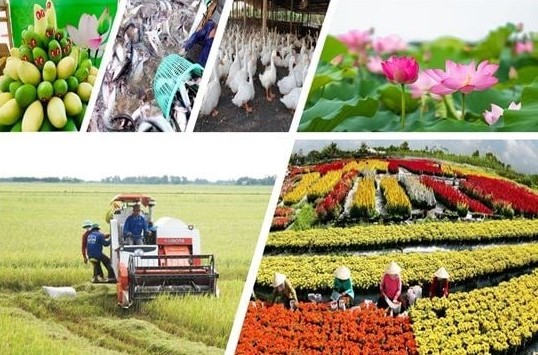 Đồng Tháp: Đổi mới tư duy từ sản xuất nông nghiệp sang kinh tế nông nghiệp
