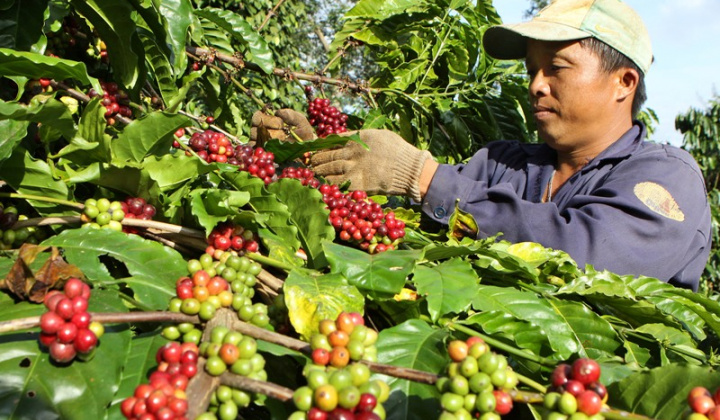 Đắk Lắk hướng đến phát triển trên nền tảng của kinh tế xanh, kinh tế tuần hoàn và kinh tế số