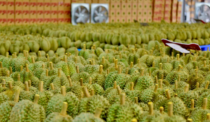 Con đường mở ra cánh cửa mới cho nông sản