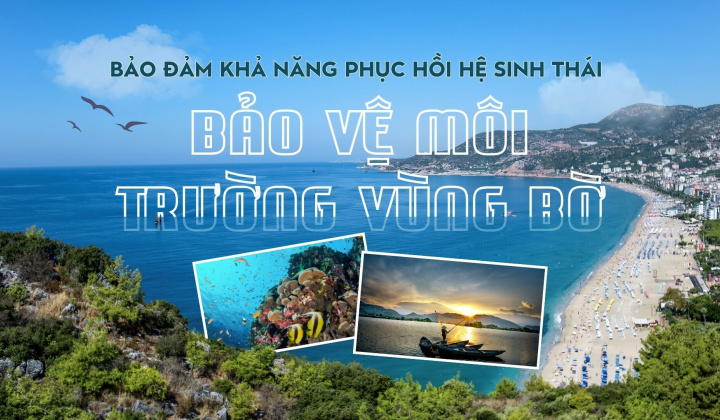 Bảo đảm khả năng phục hồi của hệ sinh thái, bảo vệ môi trường vùng bờ