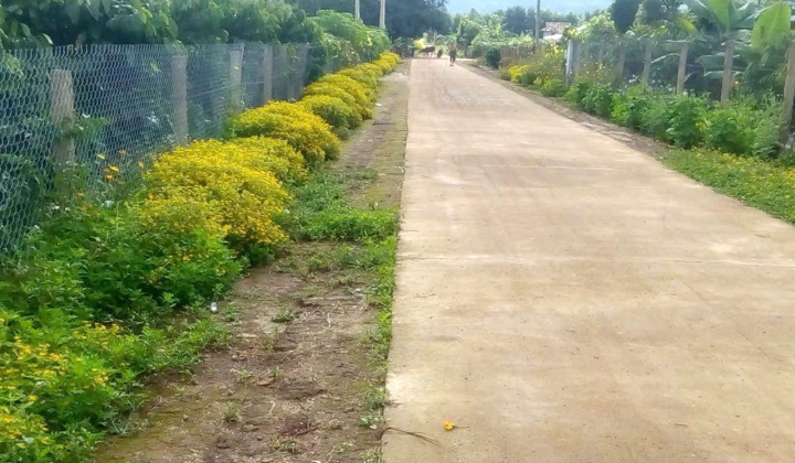 Xã Hòa Phú, huyện Chư Păh, Gia Lai: Đồng thuận về đích nông thôn mới