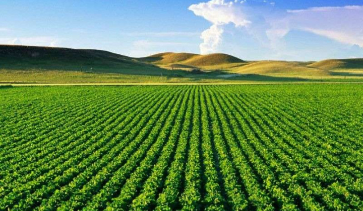 Tăng cường tập trung chỉ đạo, triển khai thi hành Luật Đất đai