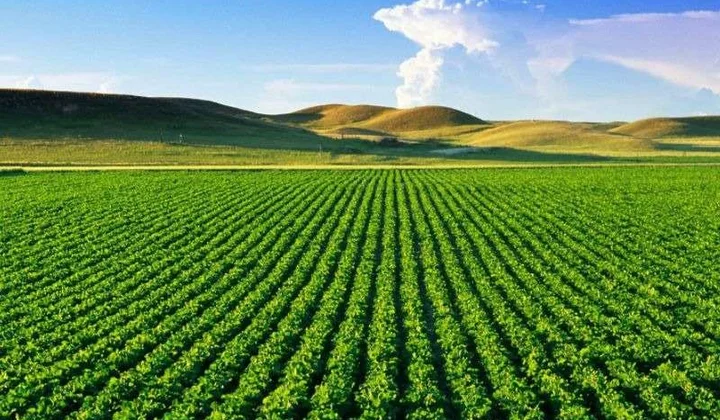 Tăng cường tập trung chỉ đạo, triển khai thi hành Luật Đất đai