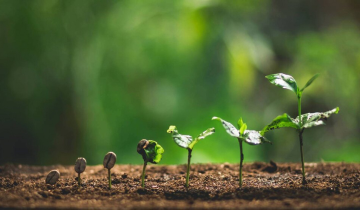 Chuyển đổi xanh, phát triển kinh tế xanh là lựa chọn chiến lược