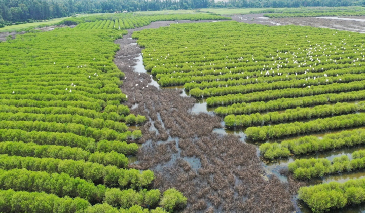 Reviving 'Green Belt' in South-central region