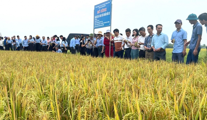 Khoa học khuyến nông Hà Tĩnh: Sản xuất nông nghiệp nói không với hóa chất là xu hướng tât yếu
