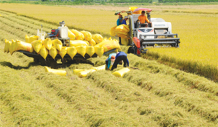 Cuộc “cách mạng” của Việt Nam trong xóa đói giảm nghèo bền vững