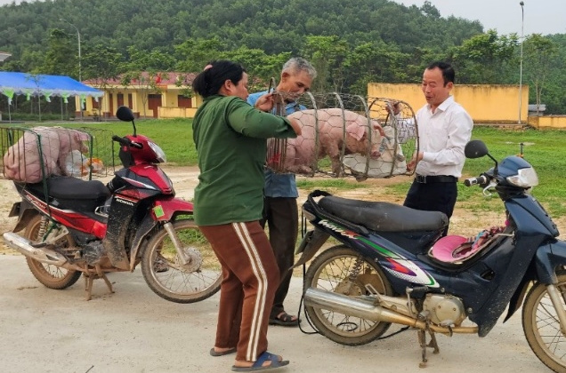 Thái Nguyên: Thúc đẩy phát triển kinh tế - xã hội vùng đồng bào dân tộc thiểu số