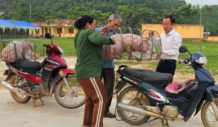 Thái Nguyên: Thúc đẩy phát triển kinh tế - xã hội vùng đồng bào dân tộc thiểu số