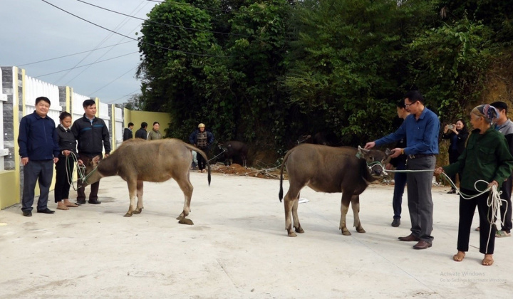 Phú Lương,Thái Nguyên: Chú trọng đào tạo nghề gắn với giải quyết việc làm, giúp bà con vùng đồng bào DTTS thoát nghèo bền vững