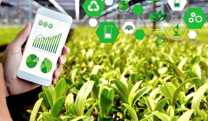 Việt Nam hướng tới phát triển Nông nghiệp xanh, bền vững từ chuyển đổi số