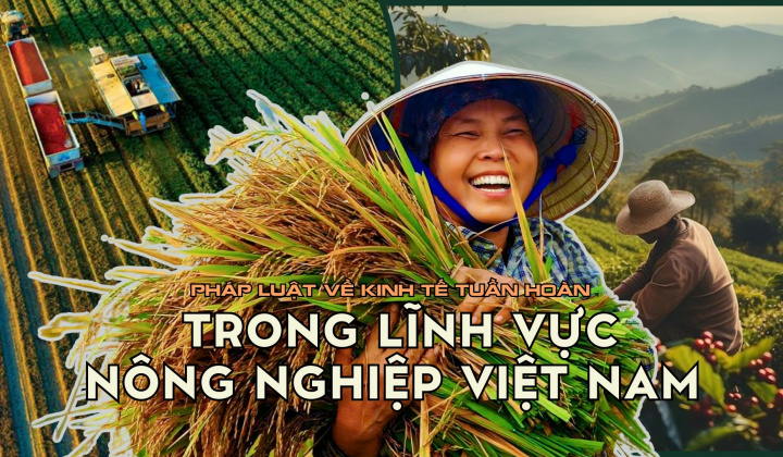 Pháp luật về kinh tế tuần hoàn trong lĩnh vực nông nghiệp ở Việt Nam