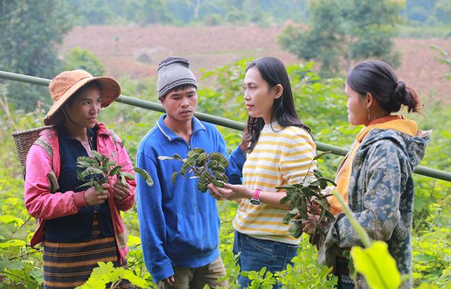 OCOP Quảng Trị: Nữ doanh nhân làm nên kỳ tích từ cây bồ kết
