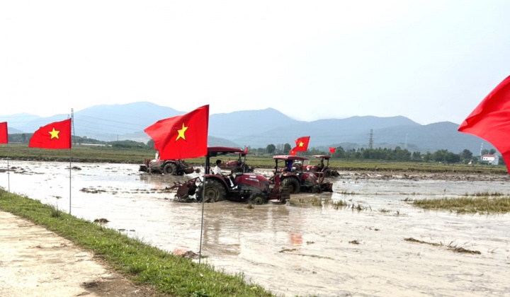 Hà Tĩnh: Tích tụ ruộng đất là then chốt nâng cao hiệu quả kinh tế nông nghiệp