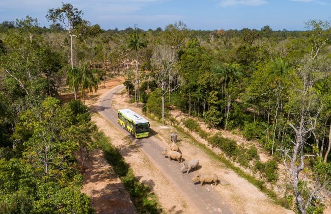 Vinpearl Safari Phú Quốc lọt top đầu vườn thú và thủy cung tại Châu Á