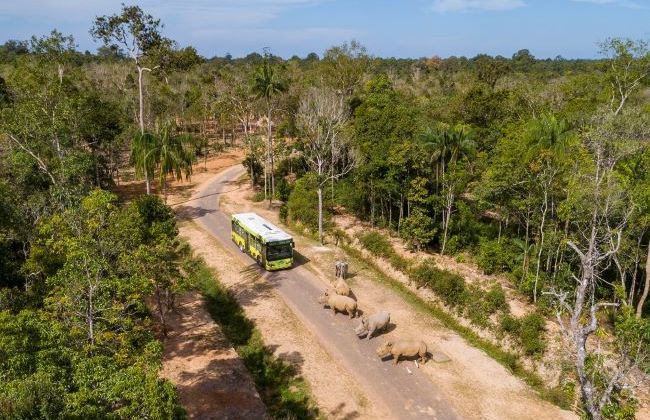 Vinpearl Safari Phú Quốc lọt top đầu vườn thú và thủy cung tại Châu Á